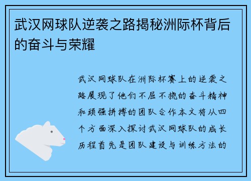 武汉网球队逆袭之路揭秘洲际杯背后的奋斗与荣耀